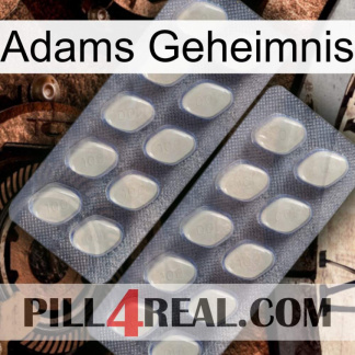 Adams Secret 07